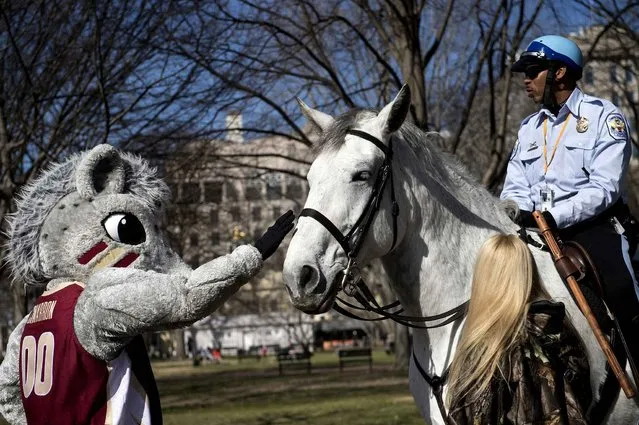 ACC mascots advertise the upcoming ACC Basketball Tournament championship near the White House March 7, 2016 in Washington, DC. (Photo by Brendan Smialowski /AFP Photo)