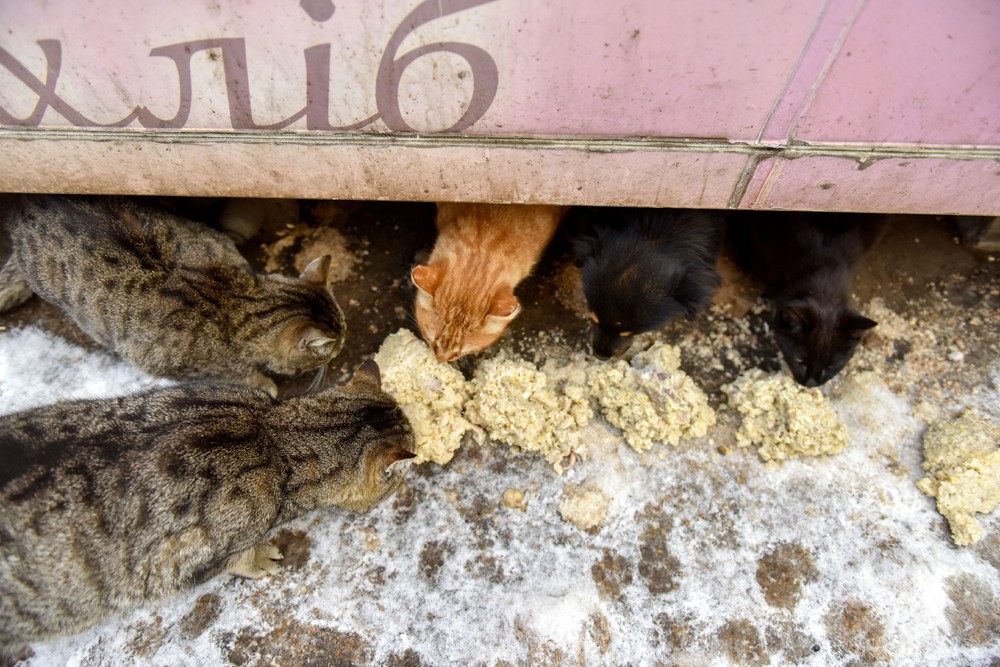 Pictures of the Year 2023, Part 026/224