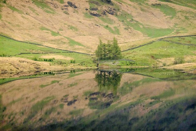 Reflections are seen on Haweswater in the Mardale valley in the Lake District, Cumbria in North West England in the first decade of May 2024. (Photo by Alastair Johnstone/Story Picture Agency)