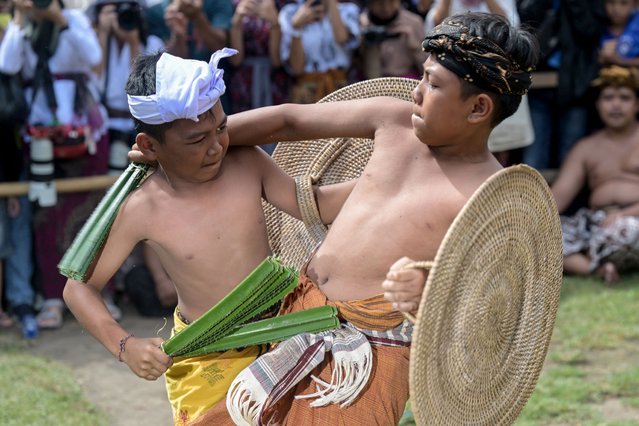 Balinese villagers fight using thorny pandanus leaves and rattan shields during the annual Perang Pandan (Pandanus War) event in Tenganan on the Indonesian resort island of Bali island on June 5, 2024. (Photo by Sonny Tumbelaka/AFP Photo)