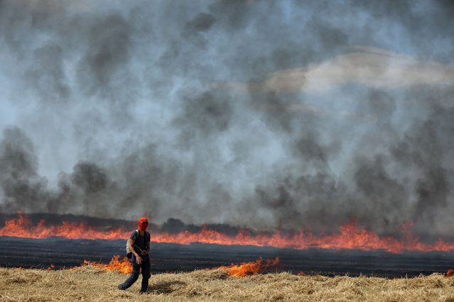 A protester walks past a wildfire started by a police launched tear gas canister during a march as part of a rally against the construction of giant water reservoir (mega-bassine) near in Migne-Auxances, western France on July 19, 2024. Fifteen months after the clashes at Sainte-Soline, several thousand opponents of irrigation reservoirs, who have been gathering in the Deux-Sevres since July 16, 2024, are due to demonstrate in neighbouring Vienne on July 19, despite a ban imposed by the authorities. This “great march”, aimed at "extracting a moratorium" on the construction of water reservoirs, has led them to fear “acts of great violence”: more than 3,000 gendarmes have been mobilised to “protect” farms and agricultural installations. (Photo by Romain Perrocheau/AFP Photo)