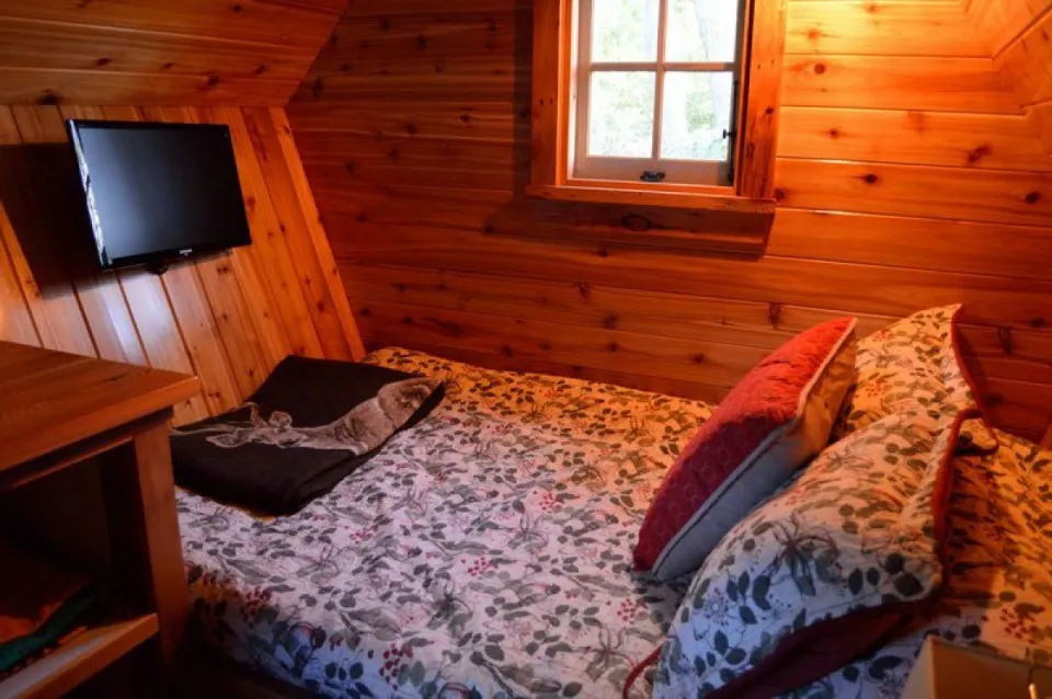 Amazing Cabin by Dan Pauly