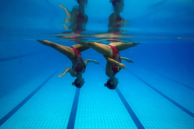 Brazil's synchronised swimmers Maria Eduarda Miccuci (R) and Luisa Borges perform during a photo session at the Rio Olympic Park in Rio de Janeiro, Brazil, April 29, 2016. (Photo by Pilar Olivares/Reuters)