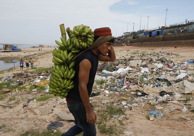 A porter carries bananas brought by boat across a dry area of the Negro River at the port in Manaus, Amazonas state, Brazil, Friday, October 4, 2024, amid a severe drought. (Photo by Edmar Barros/AP Photo)