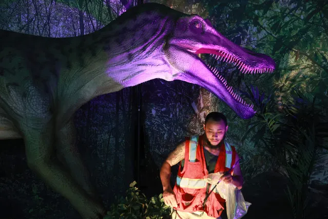 Nick Durst, operations manager, walks past a Baryonyx  animatronic dinosaur during the “Jurassic Quest” experience at Broward County Convention Center on July 08, 2022 in Fort Lauderdale, Florida. (Photo by Joe Raedle/Getty Images)