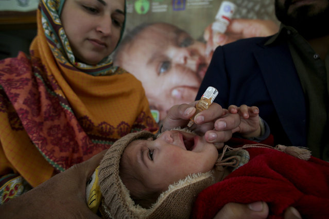 A health worker administers a polio vaccine to a child at a health center in Peshawar, Pakistan, Monday, December 16, 2024. (Photo by Muhammad Sajjad/AP Photo)