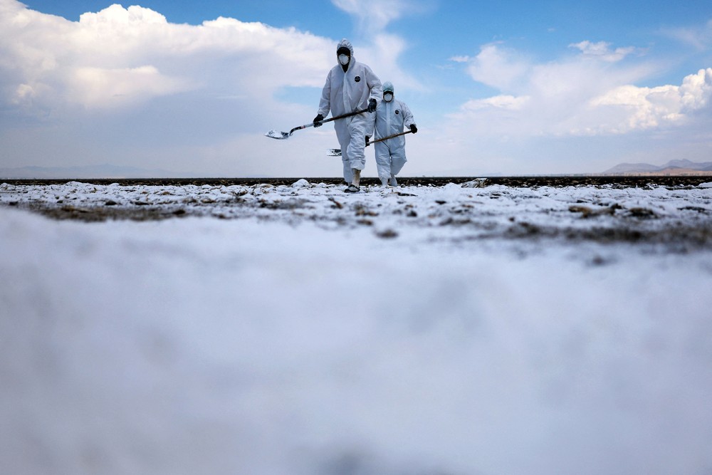 Some Photos: Ecology