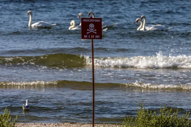 A sign reads “Danger! Mines!” at a beach as swans enjoy the waters of the Black Sea, amid Russia's invasion of Ukraine, in Koblevo near Mykolaiv, Ukraine on September 2, 2022. (Photo by Umit Bektas/Reuters)