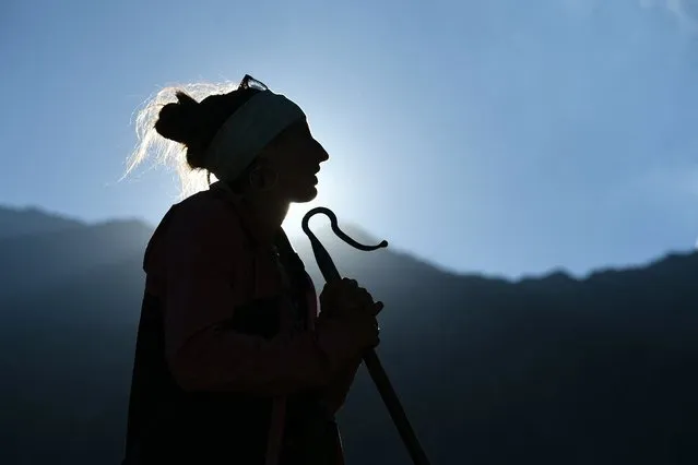 French shepherdess Alisson Carrere-Sastre, 23-years-old, watches over the herd, while holding her crook, in the valley of Aygues Tortes, in the French Pyrenees on July 9, 2022. The French shepherdess leads a flock of 700 sheep in the Pyrenees pastures from June to September. (Photo by Valentine Chapuis/AFP Photo)