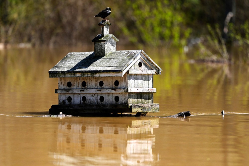 USA last Week, Part 2/2