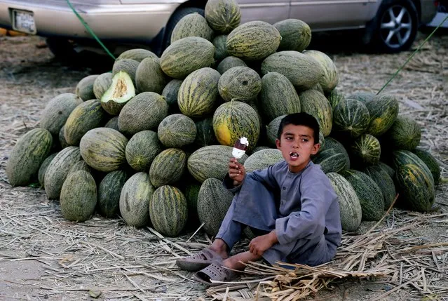 An Afghan boy eats an ice cream as he sells melons at a market in Kabul, Afghanistan on July 22, 2020. (Photo by Omar Sobhani/Reuters)
