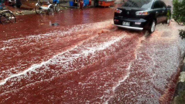 In this Tuesday, September 13, 2016 photo, a car drives past a road turned red after blood from sacrificial animals on Eid al-Adha mixed with water from heavy rainfall in Dhaka, Bangladesh. (Photo by AP Photo/Stringer)