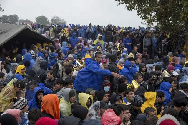 Migrants crowd as they wait to cross the Croatian border near the village of Berkasovo, Serbia October 19, 2015. Thousands of migrants clamoured to enter European Union member Croatia from Serbia on Monday after a night spent in the cold and mud of no-man's land, their passage west slowed by a Slovenian effort to impose limits on the flow to western Europe. (Photo by Marko Djurica/Reuters)
