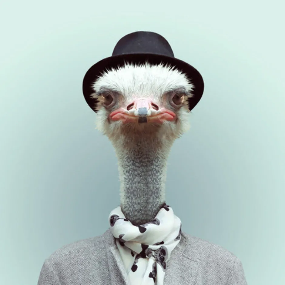 Zoo Portraits By Yago Partal. Part 1