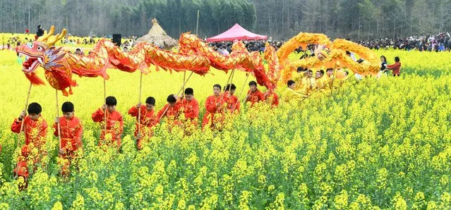 Primary school students perform dragon dances on a path at a rape flower field on March 16, 2023 in Dexing, Shangrao City, Jiangxi Province of China. (Photo by Zhuo Zhongwei/VCG via Getty Images)