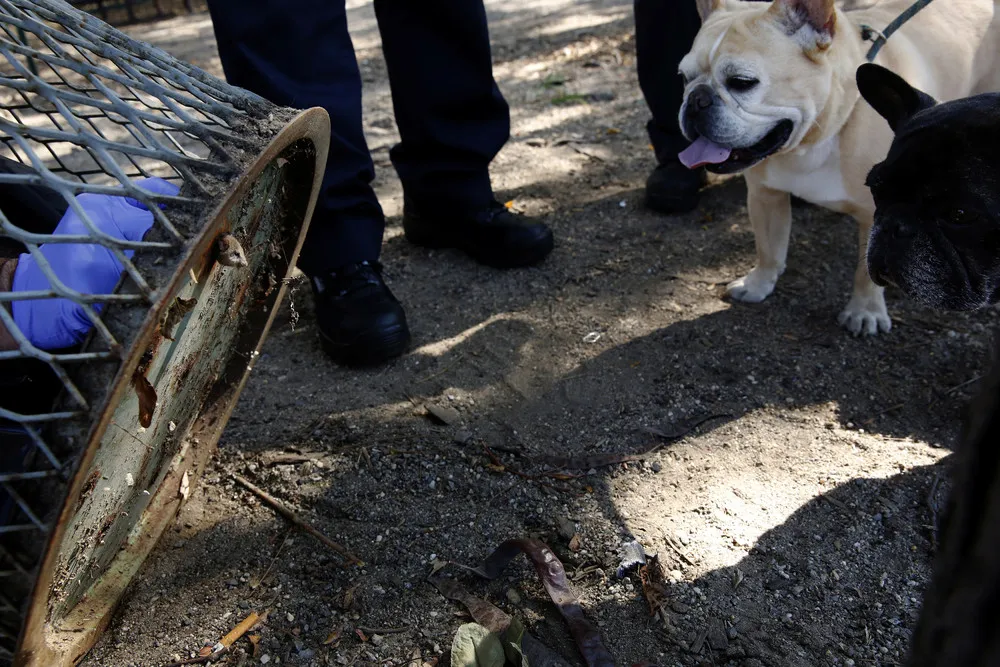 Good People from the FDNY