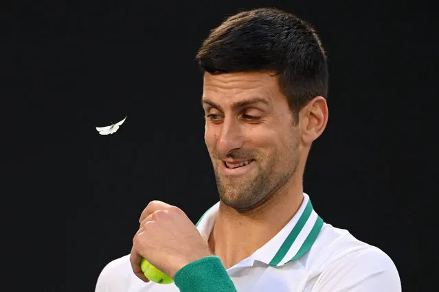 A butterfly interrupts Novak Djokovic during his semi-final match in the Australian Open in Melbourne, Australia on February 18. (Photo by James Gourley/Rex Features/Shutterstock), 2021