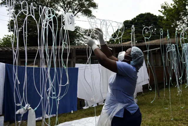 A health worker dries decontaminated nasal prongs and oxygen face masks at Queen Elizabeth Central Hospital in Blantyre, Malawi on Saturday, January 30, 2021. Malawi faces a resurgence of COVID-19 that is overwhelming the southern African country where a presidential residence and a national stadium have been turned into field hospitals in efforts to save lives. (Photo by Thoko Chikondi/AP Photo)