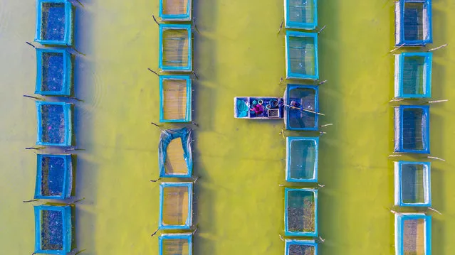 Aerial photo farmers inspect cages for temporary crabs at an organic crab breeding base in Suqian, East China's Jiangsu Province, December 8, 2020. (Photo by Costfoto/Barcroft Media via Getty Images)