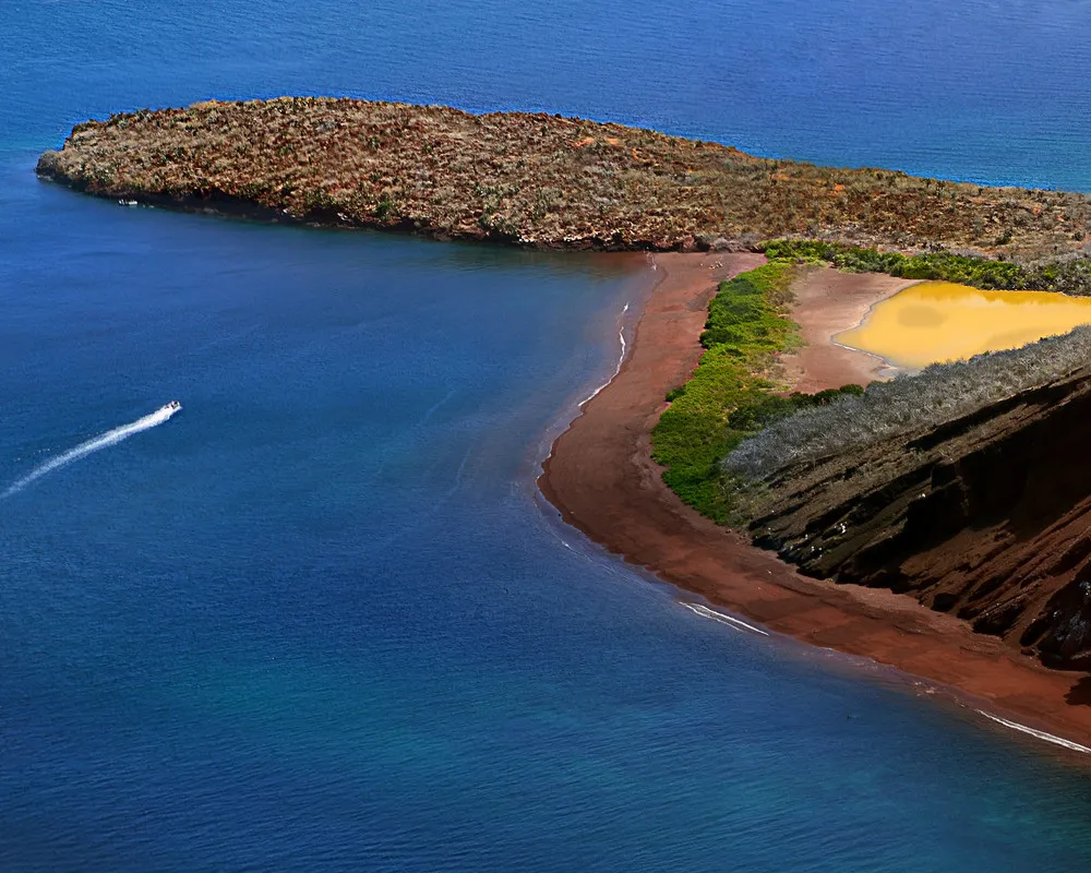 The Galapagos Islands