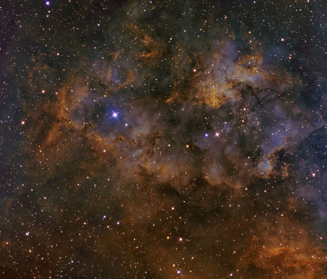 Sh2-115 is an emission nebula in the constellation Cygnus. It is approximately 7500 light years away. The open star cluster in this is known as Berkeley 90. This object is located about 2.5 degrees Northwest of the bright star Deneb. (Bill Snyder)