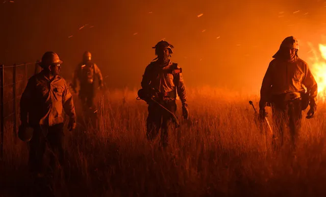 Firemen fight a wildfire near La Adela in La Pampa Province on January 5, 2017. Firefighters in Argentina said on January 5 they were bringing under control three wildfires that have devastated nearly a million hectares (2.5 million acres) of the country' s famous pampas, or plains. (Photo by Eitan Abramovich/AFP Photo)