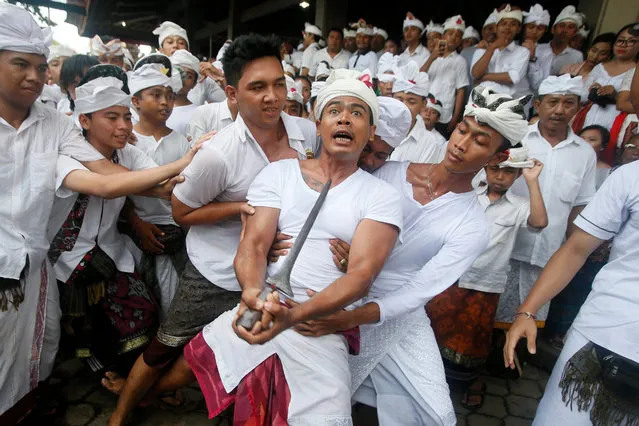 A Balinese man stabs himself with a “keris”, a short dagger, while in a state of trance during a sacred ritual at Petilan Pengerebongan Temple in Denpasar, Bali, Indonesia, 28 February 2016. When a group of people get into trance, they scream and stab themselves with a “keris”, but there is no bleeding. Balinese believe that trance is a way of god to show their presence in the ceremony. (Photo by Made Nagi/EPA)