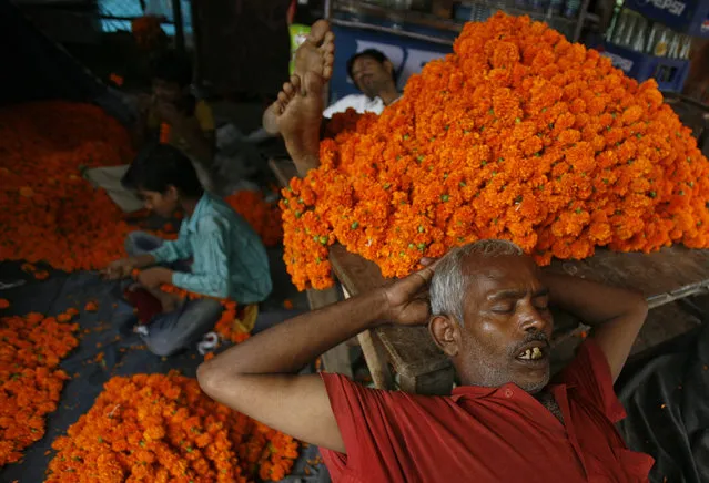 A shopkeeper sleeps besides a heap of marigold flowers inside a roadside shop at a wholesale flower market in New Delhi October 4, 2009. (Photo by Parth Sanyal/Reuters)