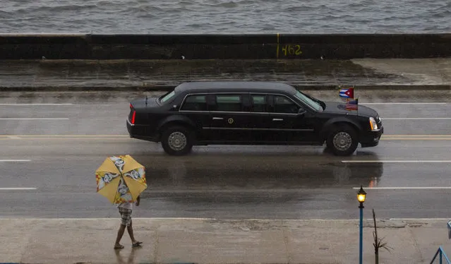 The vehicle carrying President Barack Obama drives along the Malecon sea wall on its way to Old Havana, Cuba, Sunday, March 20, 2016. Obama's trip is a crowning moment in his and Cuban President Raul Castro's ambitious effort to restore normal relations between their countries. (Photo by Desmond Boylan/AP Photo)