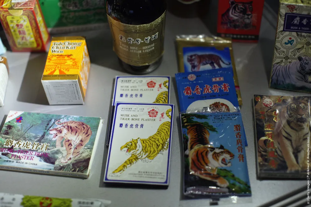 Specimens In The Metropolitan Police's Illegal Trade In Endangered Species Exhibition