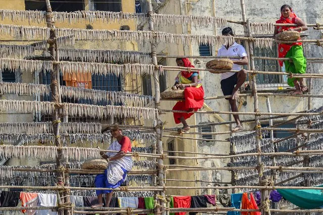 Fisher-women climb up on a scaffolding to hang Bombay duck fish to dry in the sun at the Versova beach in Mumbai on December 29, 2021. (Photo by Sujit Jaiswal/AFP Photo)