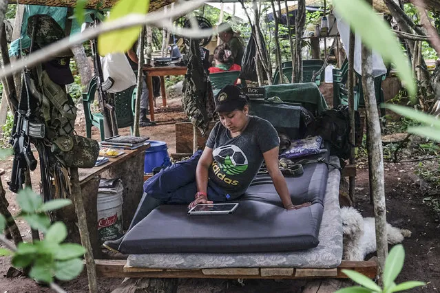 A FARC guerrilla fighter studies on a tablet at their encampment at the Transitional Standardization Zone in Pondores, La Guajira department, Colombia on April 3, 2017. The Colombian government reported that the FARC guerrillas provided a total list with the names of the 6,084 members of the rebel group who have gathered in 26 “standardization zones” across the country, where they are building accomodations that will house them until the end of the disarmament process, outlined in the peace agreement reached in November 2016. (Photo by Joaquin Sarmiento/AFP Photo)