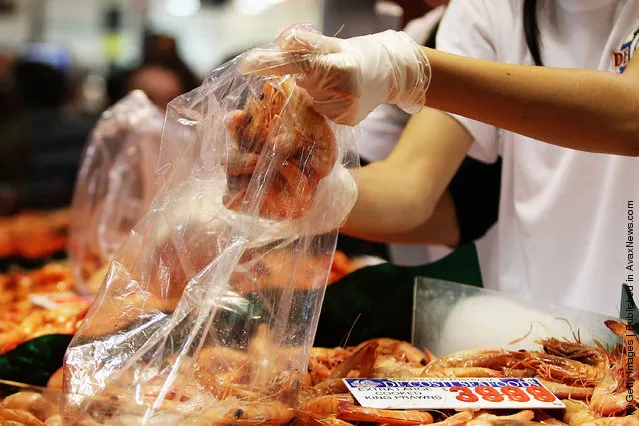 Sydney Fish Market Begins 36 Hour Seafood Marathon