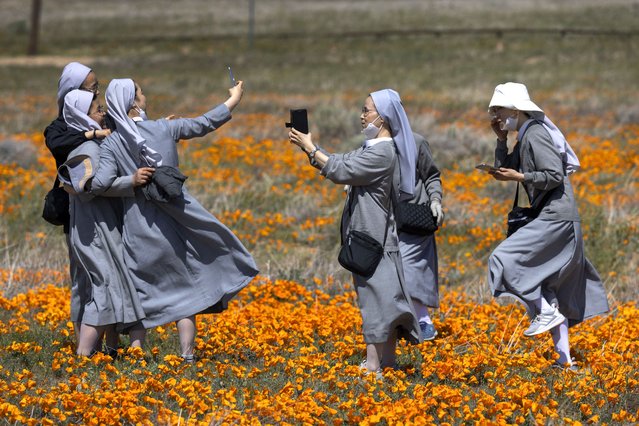 People walk in a field of California poppies and other wildflowers outside of the Antelope Valley California Poppy Reserve, after recent rains moved the region's second-driest winter on record up to its seventh-driest, near Lancaster, California, on April 2, 2022. The California Department of Water Resources reported that about one-third of the Sierra Nevada snowpack's water equivalency melted last week under higher-than-normal temperatures, leaving the statewide snow-water equivalent at 38% of normal for the date. (Photo by David Mcnew/AFP Photo)