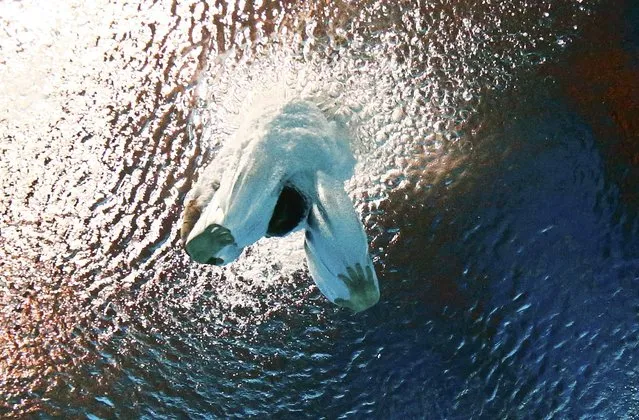 Thomas Daley of Britain is seen underwater during the mixed team event final at the Aquatics World Championships in Kazan, Russia July 29, 2015. (Photo by Stefan Wermuth/Reuters)