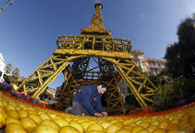 France: A worker puts the final touch at a sculpture featuring the Eiffel tower made from lemons and oranges during the lemon festival in Menton, southern France, February 16, 2012. (Photo by Eric Gaillard/Reuters)