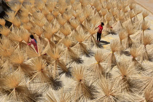 Employees from a bamboo industry company dry semi-finished bamboo chopsticks in a village in Xingan county, Jiangxi province, China July 16, 2017. (Photo by Reuters/China Stringer Network)