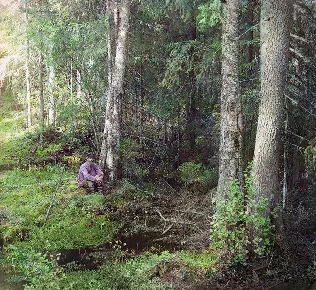 Photos by Sergey Prokudin-Gorsky. Site of the source of the Western Dvina near the village of Kariakino three versts from Lake Peno in Tver Province, Ostashkov District. Volga River Region, 1910