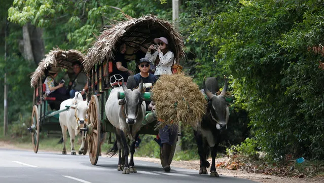 A group of tourists travel on a traditional bullock cart along a main road in Dambulla, Sri Lanka August 19, 2017. (Photo by Dinuka Liyanawatte/Reuters)