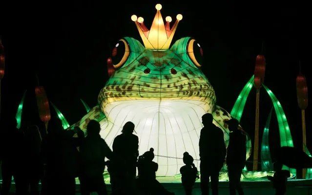 People gather around a illuminated frog from The Frog Princess, as they enjoy the spectacle at the opening night of annual Festival of Light at the Elizabethan Longleat House on November 3, 2017 in Frome, England. Now in its fourth year, the Elizabethan stately home and country estate has been transformed with thousands of lanterns using 300,000 metres of silk, made by highly skilled Chinese craftsmen from Zigong in the county's Sichuan province, which has been staging lantern festivals for more than 2,000 years and includes an 83ft Rapunzel tower – the largest lantern ever constructed for the Festival of Light – and a 98ft long galleon floating on the lake. The Festival of Light draws inspiration from tales new and old, including popular stories like Little Red Riding Hood, the Nordic influenced Little Mermaid, as well as the local legend of Somerset's “Gurt Worm” dragon. The Festival of Light opens to the public between Friday to Sundays on November 5 and will be open daily from December 1 to January 3. (Photo by Matt Cardy/Getty Images)