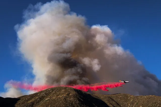 An air tanker drops fire retardant on the Blue Cut wildfire in Lytle Creek, California, August 16, 2016. The fire is currently 9,000 plus acres, with 700 personnel on scene. Fifty-seven engines, 8 crews, 8 air tankers, 2 Very Large Air Tankers (VLATS), with additional firefighters and equipment on order. There is imminent threat to public safety, rail traffic and structures. With this being a very quickly growing wildfire, evacuation instructions have been issued. An estimated 34,500 homes and 82,640 people are being affected by the evacuation warnings. (Photo by Ringo Chiu/AFP Photo)