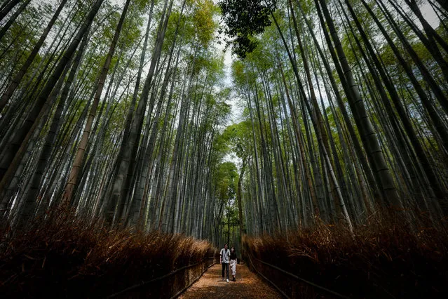 A couple takes a stroll in the bamboo grove in Arashiyama, Kyoto, Japan, 27 May 2020. Japan on 25 May lifted the nationwide state of emergency over coronavirus pandemic. The country received only 2,900 foreign visitors in April, down 99.9 per cent from a year earlier, according to the government data. Businesses and tourism industries in Kyoto, one of the country's most popular tourist destinations, have been suffering a huge blow with almost no foreing tourists seen on its streets surrouonded by world-famous tourist spots. (Photo by Dai Kurokawa/EPA/EFE)