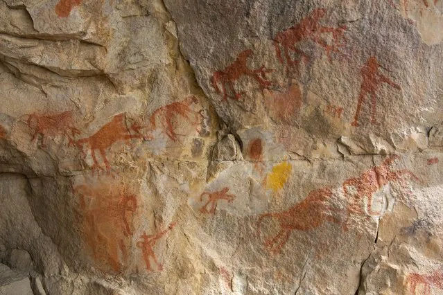 A photograph made available 17 September 2015 shows Khoi rock art depicting European colonists shooting at animals on the walls of a cave on Groenfontein farm in the Koue Bokkeveld around two hundred and fifty kilometers from Cape Town, South Africa, 16 September 2015. The Khoi often mistakenly referred to as San or Bushmen are the indigenous people of Southern Africa. Their rock paintings form a critical historical record. Drawn here between three hundred to five hundred years ago on Sandstone rock they were often metaphorical and symbolic depicting non human form and giving insight into their spiritual world. (Photo by Nic Bothma/EPA)