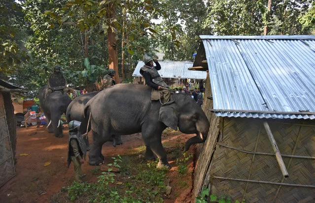 Indian police guide elephants to demolish huts which forest officials claimed were illegally built at the Amchang Wildlife Sanctuary in Guwahati, India on Nov. 27. The police took the unusual step of using elephants in an attempt to evict hundreds of people living illegally in a protected forest area in the country's remote northeast. (Photo by Anuwar Hazarika/Reuters)