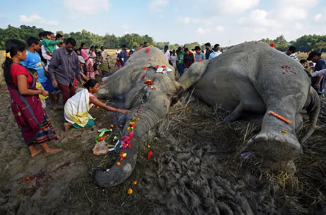 A woman prays as she touches the carcass of an elephant, who according to forest officials was electrocuted early morning in a paddy field at Kuruabahi village, in Nagaon district in the northeastern state of Assam, December 12, 2017. (Photo by Anuwar Hazarika/Reuters)