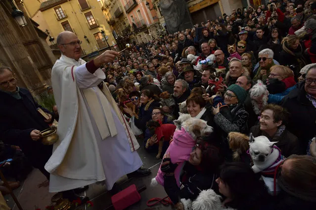 Santiago Fulero, Major priest of the Saint Pablo church, blesses people with their pets outside of the church, during the feast of St. Anthony, Spain's patron saint of animals, in Zaragoza, northern Spain, Wednesday, January17, 2018. (Photo by Alvaro Barrientos/AP Photo)