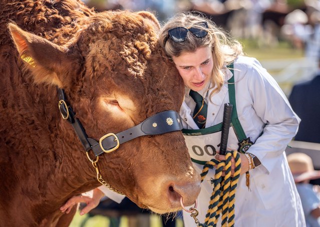 A woman with a bull during the opening day of the Great Yorkshire Show at the Showground in Harrogate, North Yorkshire, UK on Tuesday, July 8, 2025. (Photo by Danny Lawson/PA Wire)