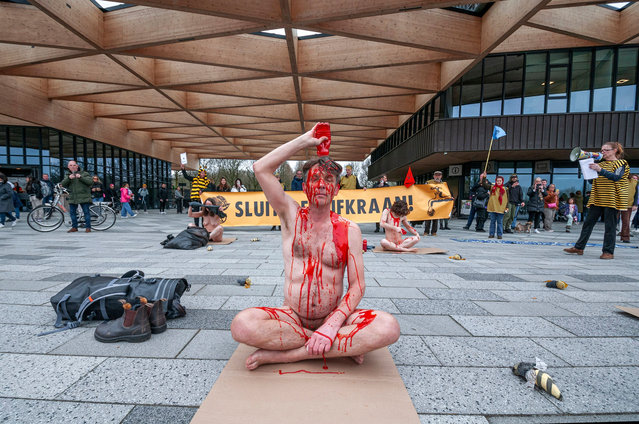 Male Extinction Rebellion activist, naked and covered in fake blood, protest outside the largest flower garden in The Netherlands on March 21, 2024 and warn the interring public of the poison used to grow the flowers they are about to see. Extinction Rebellion protested naked against the use of poisons in flower bulb cultivation during the opening of the Keukenhof 75th anniversary. Rebels from Extinction Rebellion raise the alarm caused by the use of agricultural poisons in bulb cultivation and demand poison-free plantation. Other rebels, dressed in bee suits play dead. Spokesperson Lydia Steutel says: “Those beautifully coloured fields hide the enormous damage caused by bulb cultivation. Insects, birds and plants die due to agricultural poisons”. Bulb cultivation is the most pesticide-intensive form of agriculture in the Netherlands. EX goes on to say: “We demand poison-free bulb cultivation: a world in which growers, migrant workers, contractors and local residents do not have to worry about their health due to the use of poison”. (Photo by Charles M. Vella/SOPA Images/Rex Features/Shutterstock)