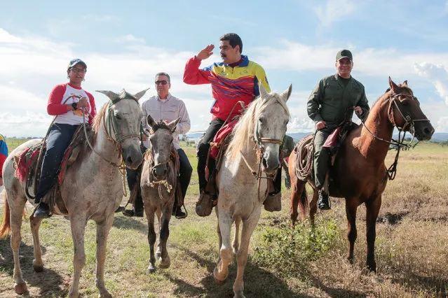 Venezuela's President Nicolas Maduro (2nd R) rides a horse next to Defense Minister Vladimir Padrino Lopez (R) during an event related to a government plan for planting and harvesting cereal crops, in San Carlos, Venezuela, September 22, 2016. (Photo by Reuters/Miraflores Palace)