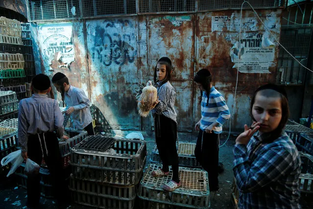 An ultra-Orthodox Jewish youth holds a chicken as others perform the Kaparot ritual, where white chickens are slaughtered as a symbolic gesture of atonement, in Jerusalem's Mea Shearim neighbourhood October 10, 2016, ahead of Yom Kippur, the Jewish Day of Atonement, which starts at sundown on Tuesday. (Photo by Ronen Zvulun/Reuters)